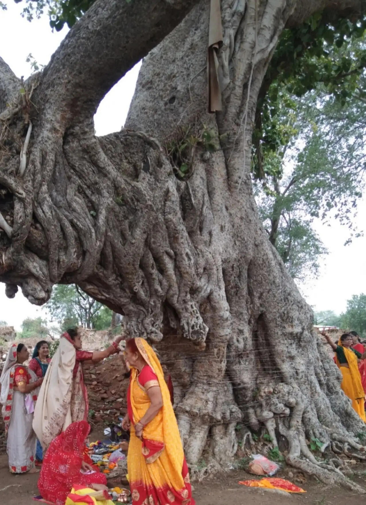 झाबुआ: ज्येष्ठ पूर्णिमा पर वट सावित्री पूजा के साथ श्रीहरि विष्णु मंदिरों में किया गया ज्येष्ठा अभिषेक