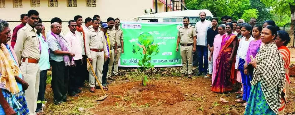 कोरबा : विश्व पर्यावरण दिवस पर स्कूलों एवं छात्रावास में रोपे गए पौधे