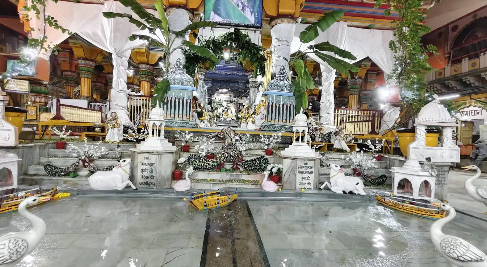 धवल चांदनी में विराजे ठाकुर द्वारकाधीश, अलौकिक दर्शन पाकर निहाल हुए देश-विदेश के भक्त
