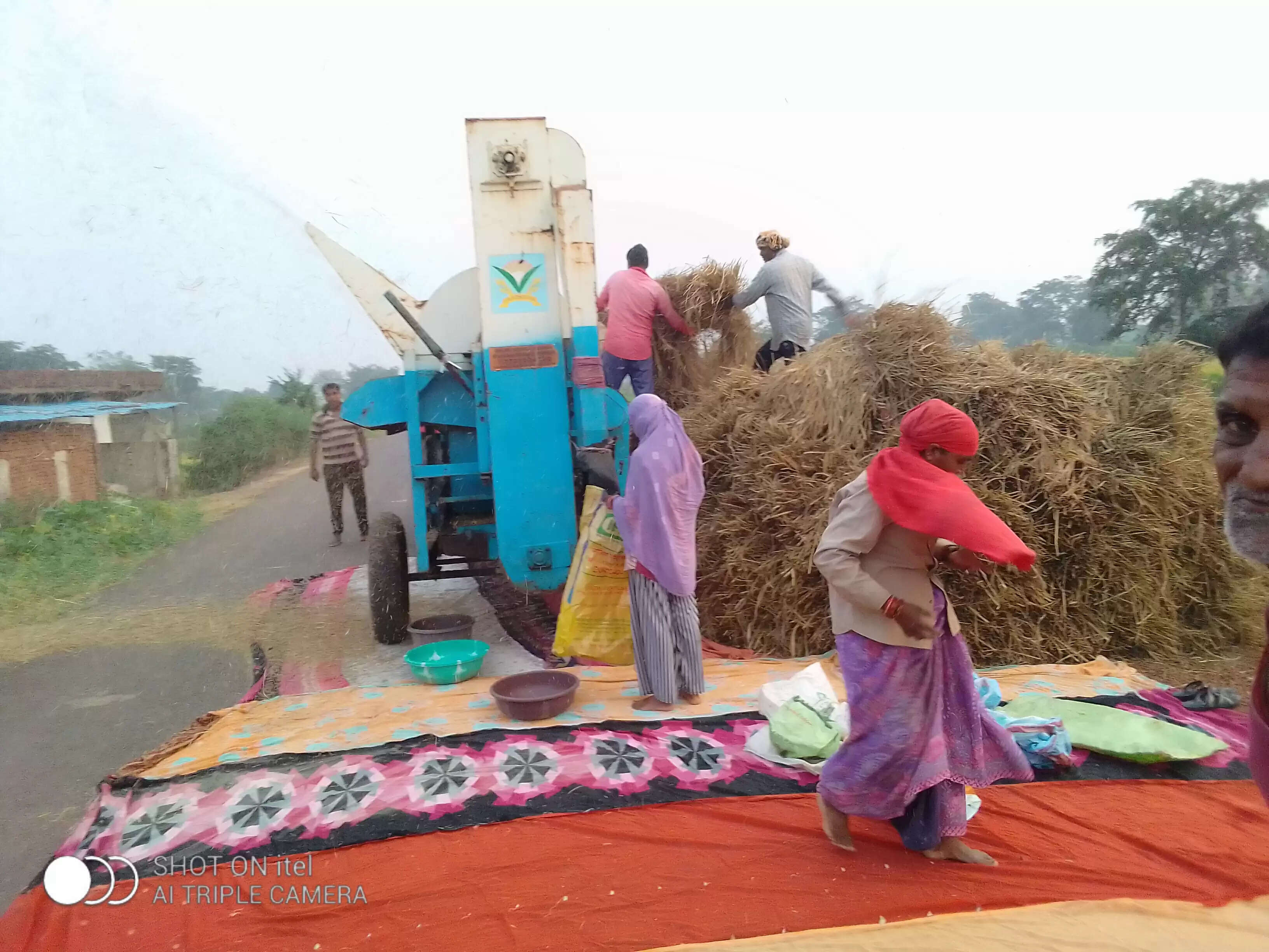 धान की कटाई - मिंजाई तेज होते ही मजदूरों की मांग बढ़ी