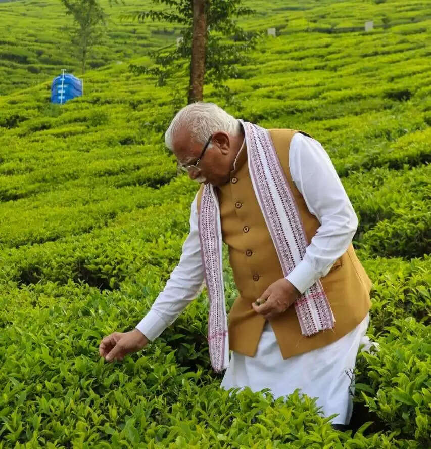 केंद्रीय मंत्री मनोहर लाल ने सिक्किम के जैविक तिमी चाय बागान का किया दौरा, जैविक स्वाद का लुत्फ उठाया