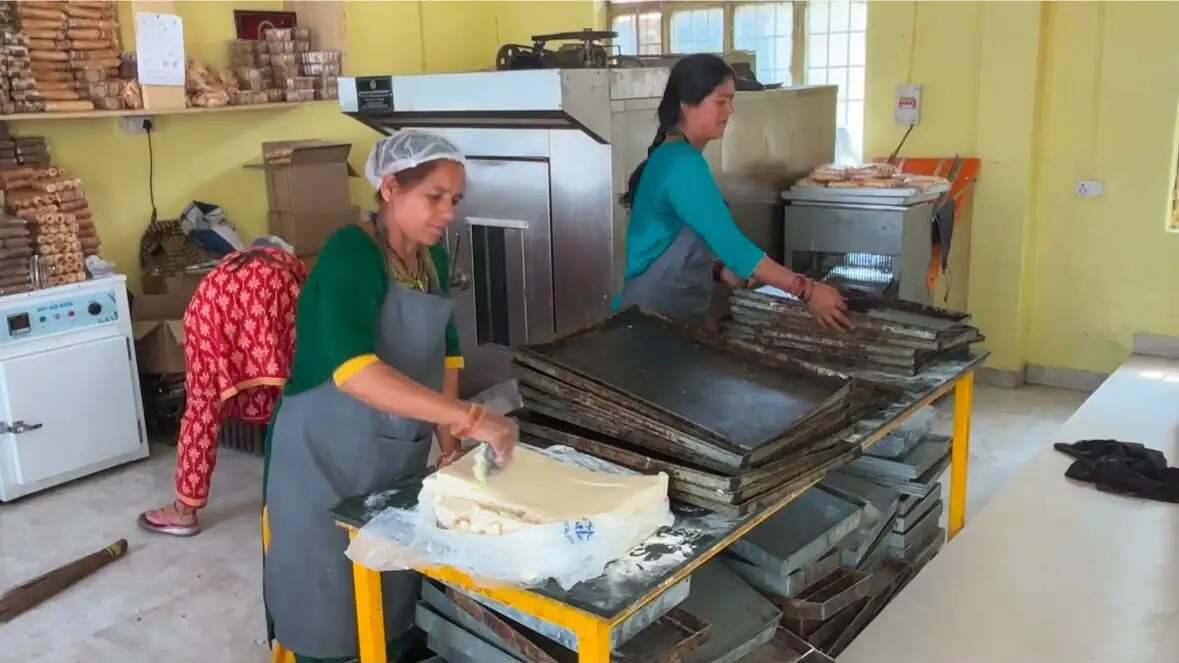 लखपति दीदी योजना में पौड़ी जिले की 33 हजार 7 सौ से अधिक महिलाएं बनीं आत्मनिर्भर