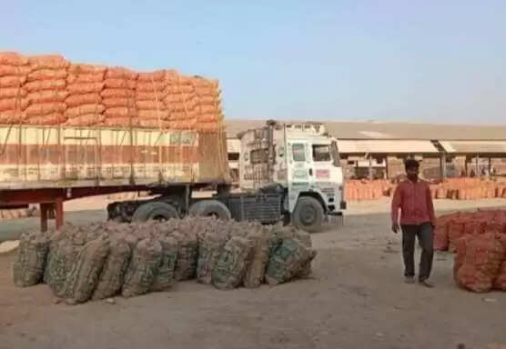 फर्रुखाबाद की मंडी में माटी मोल हुए आलू के भाव, किसान हाे रहे परेशान