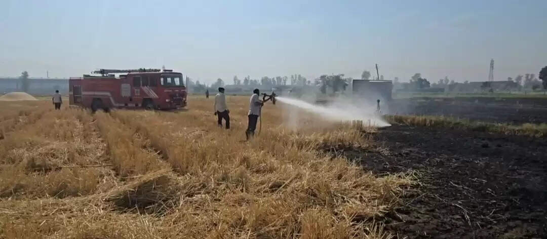 यमुनानगर: शॉर्ट सर्किट से गन्ने की फसल व गेहूं के अवशेषों में लगी आग