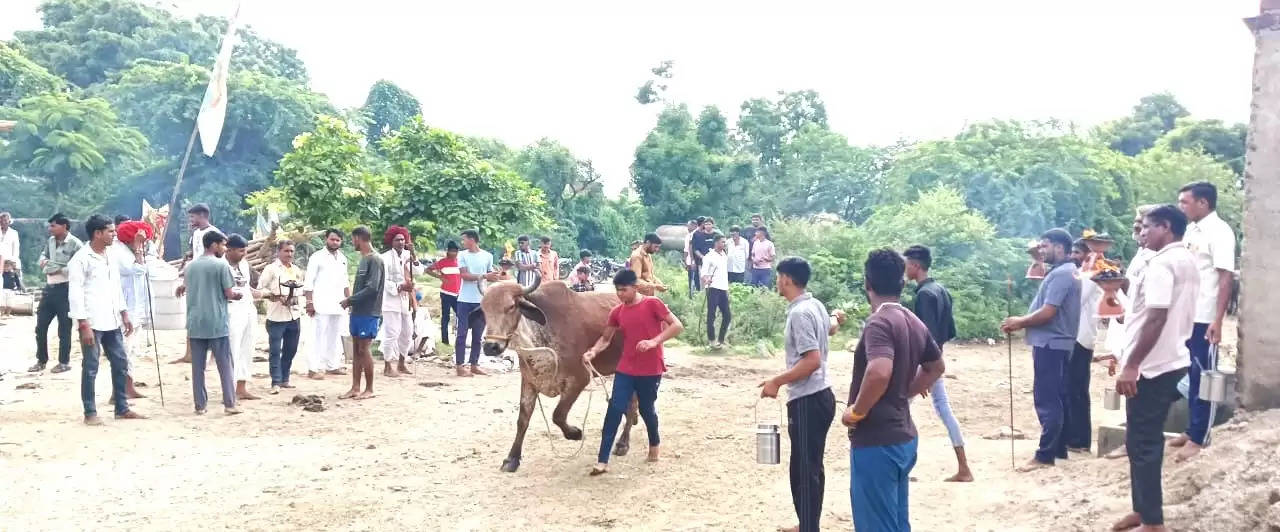 शाहपुरा में पशुओं को रोगमुक्त करने के लिए अनूठा उत्सव