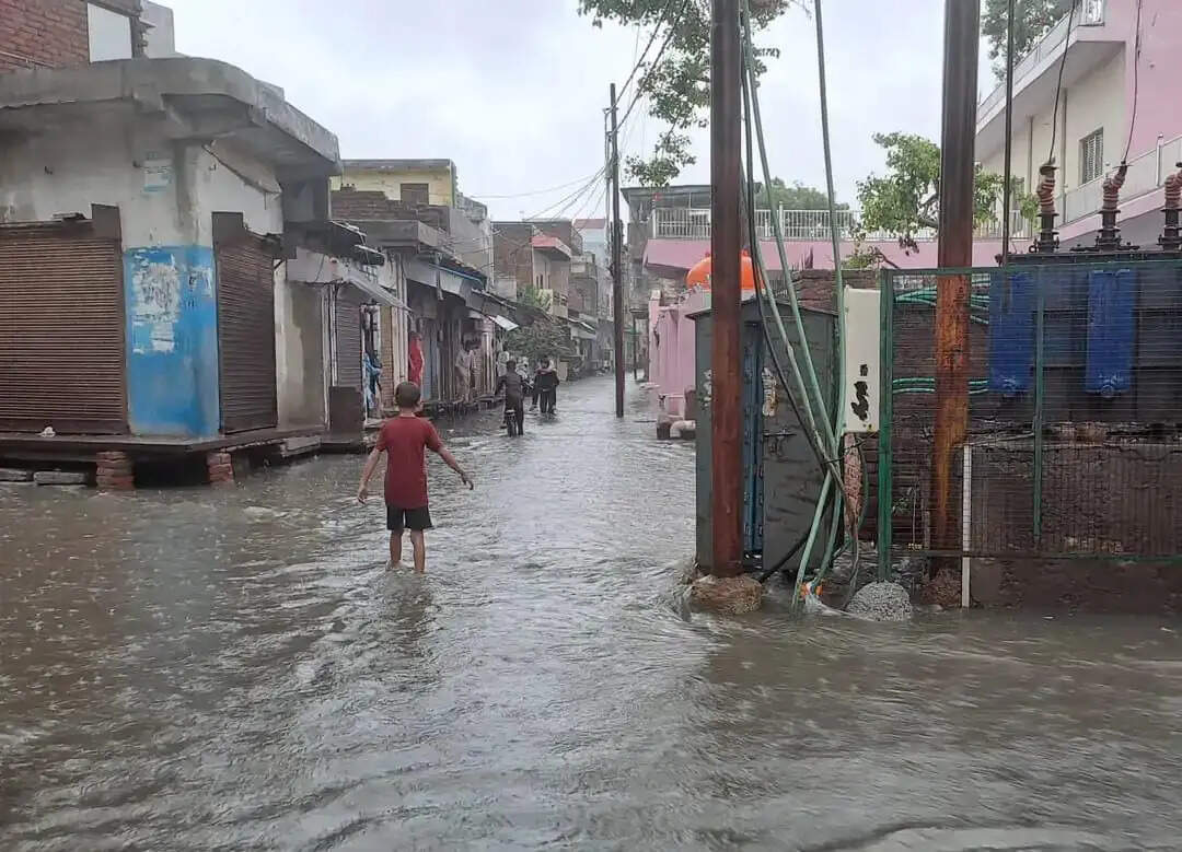 पिछले साल की तुलना में शिवपुरी में अब तक 72 प्रतिशत कम बारिश, औसत से भी काफी पीछे मानसून