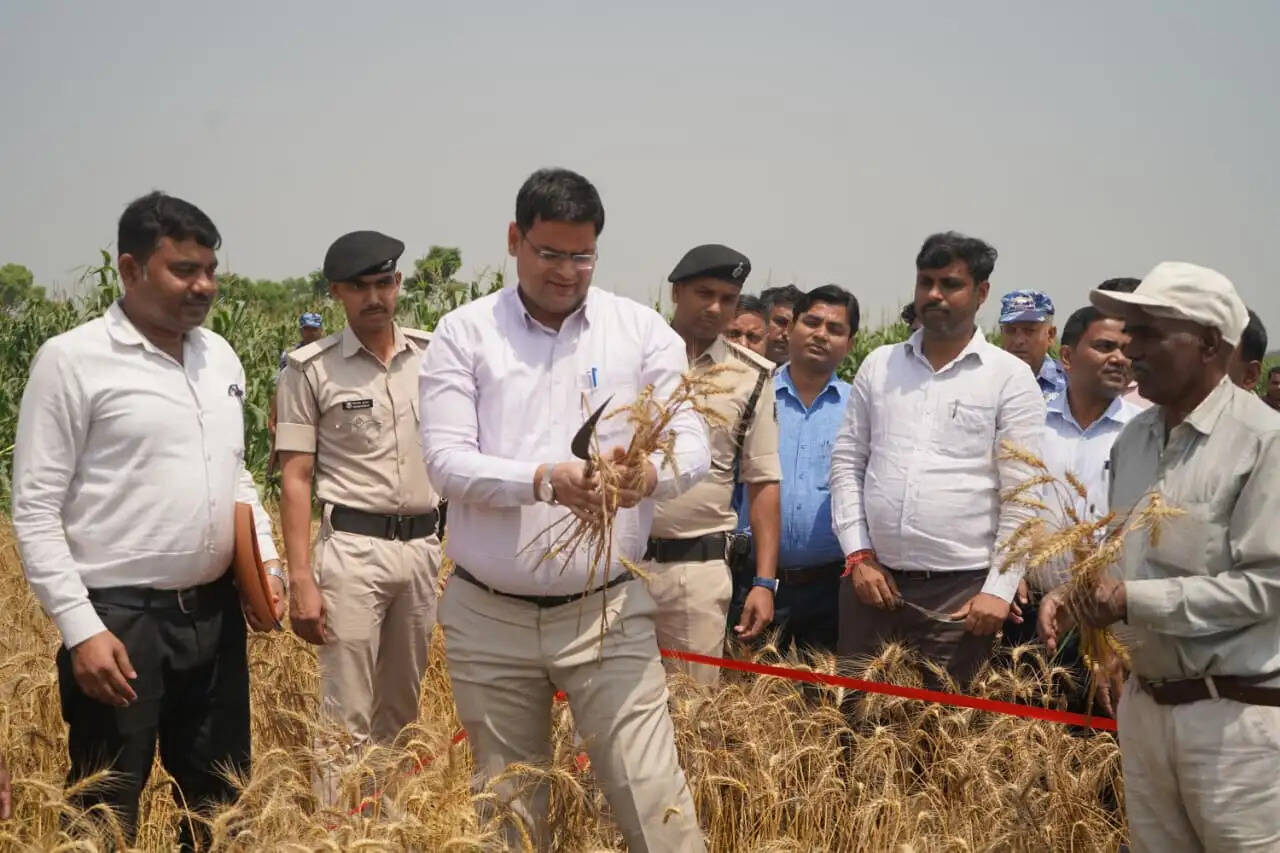 डीएम ने रबी गेहूं फसल कटनी प्रयोग का किया गया निरीक्षण