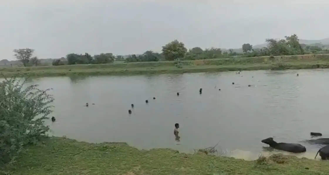 दोस्तों के साथ नहाने गया युवक अर्जुन नहर में डूबा, तलाश जारी