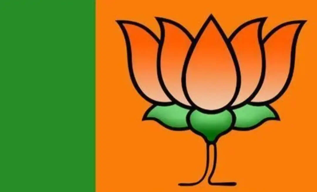 अस्पतालों में इलाज के अभाव में मरीज़ों की मौत राज्य सरकार की विफलता : अविनेश