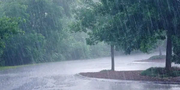 छत्तीसगढ़ में मानसून सक्रिय:सरगुजा, बिलासपुर और रायपुर संभाग के जिलों में भारी से बहुत भारी बारिश की चेतावनी