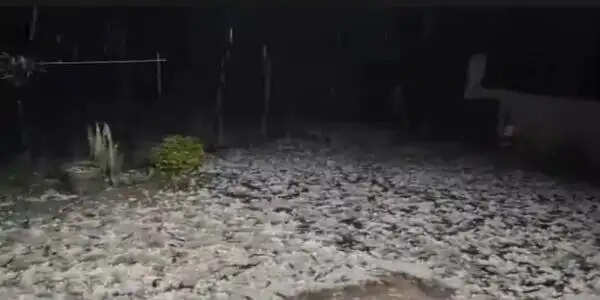 अंबिकापुर : मैनपाट में 20 मिनट की ओलावृष्टि से सफेद चादर, फसलें चौपट; तीन दिन तक बारिश-ओले का अलर्ट