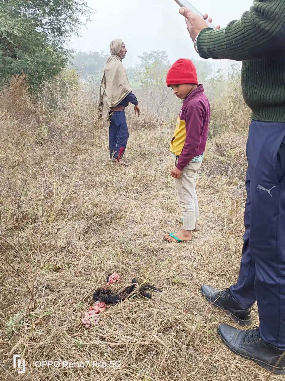 बानसूर के गढ़ी गांव में पैंथर ने किया घर में बंधी बकरियों का शिकार, ग्रामीणों में दहशत