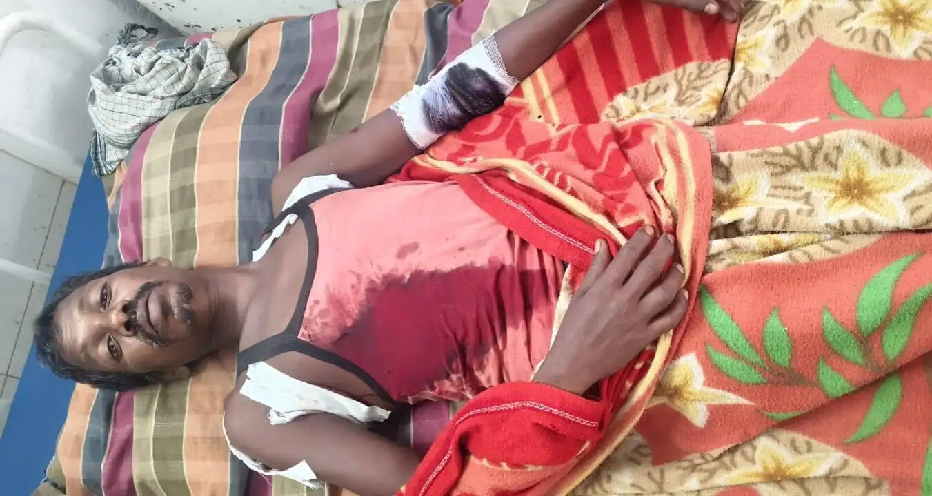 बैल का शिकार करने गांव पहुंचा तेंदुआ, हमले में मेहमान और पड़ोसी सहित तीन घायल