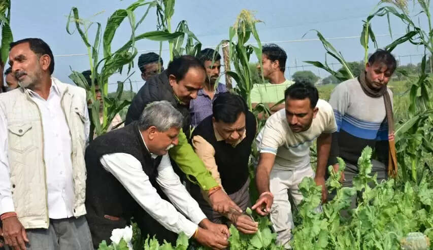 उप मुख्यमंत्री देवड़ा ने ओलावृष्टि प्रभावित फसलों का निरीक्षण कर किसानों से किया संवाद