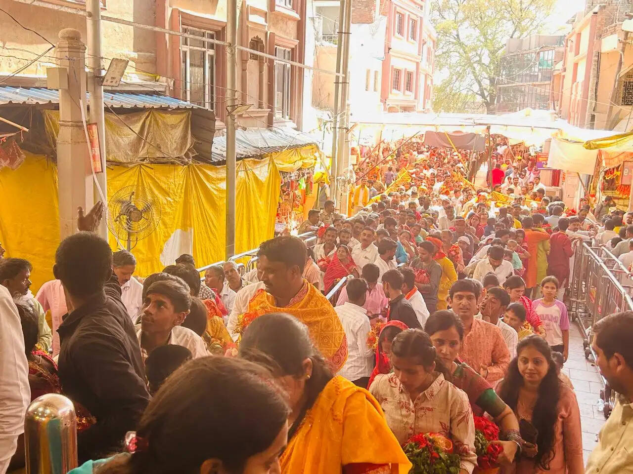 सप्तमी पर विंध्य धाम में उमड़ा जनसैलाब, कालरात्रि दर्शन को चार लाख श्रद्धालु पहुंचे