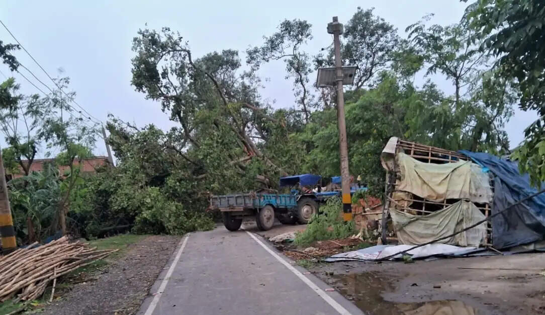 अररिया जिले में तेज आंधी और तूफान ने फिर मचाई तबाही