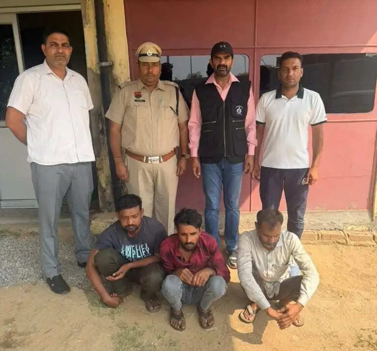 गुरुग्राम: दो करोड़ की लौंग चोरी, 20 टन माल और दो ट्रक बरामद