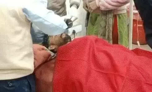 चूरू के धोधलिया गांव में तेंदुए का हमला, दो युवक घायल