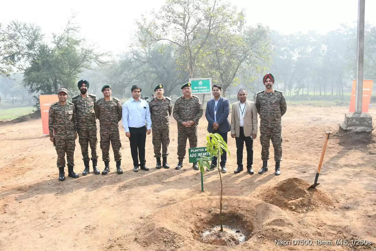 रामगढ़ के पंजाब रेजिमेंटल सेंटर में मियावाकी तरीके से लगाए गए पौधे