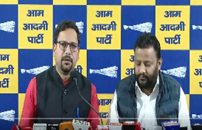 आवारा कुत्तों की गिनती के मुद्दे पर आआपा ने दिल्ली सरकार से पूछे सवाल