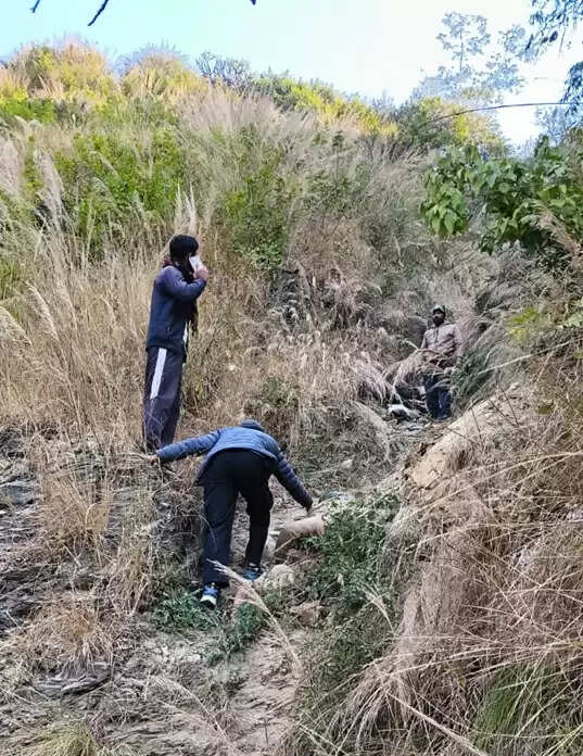 उत्तराखंड के अल्मोड़ा में बस खाई में गिरी, सात यात्रियों की मौत