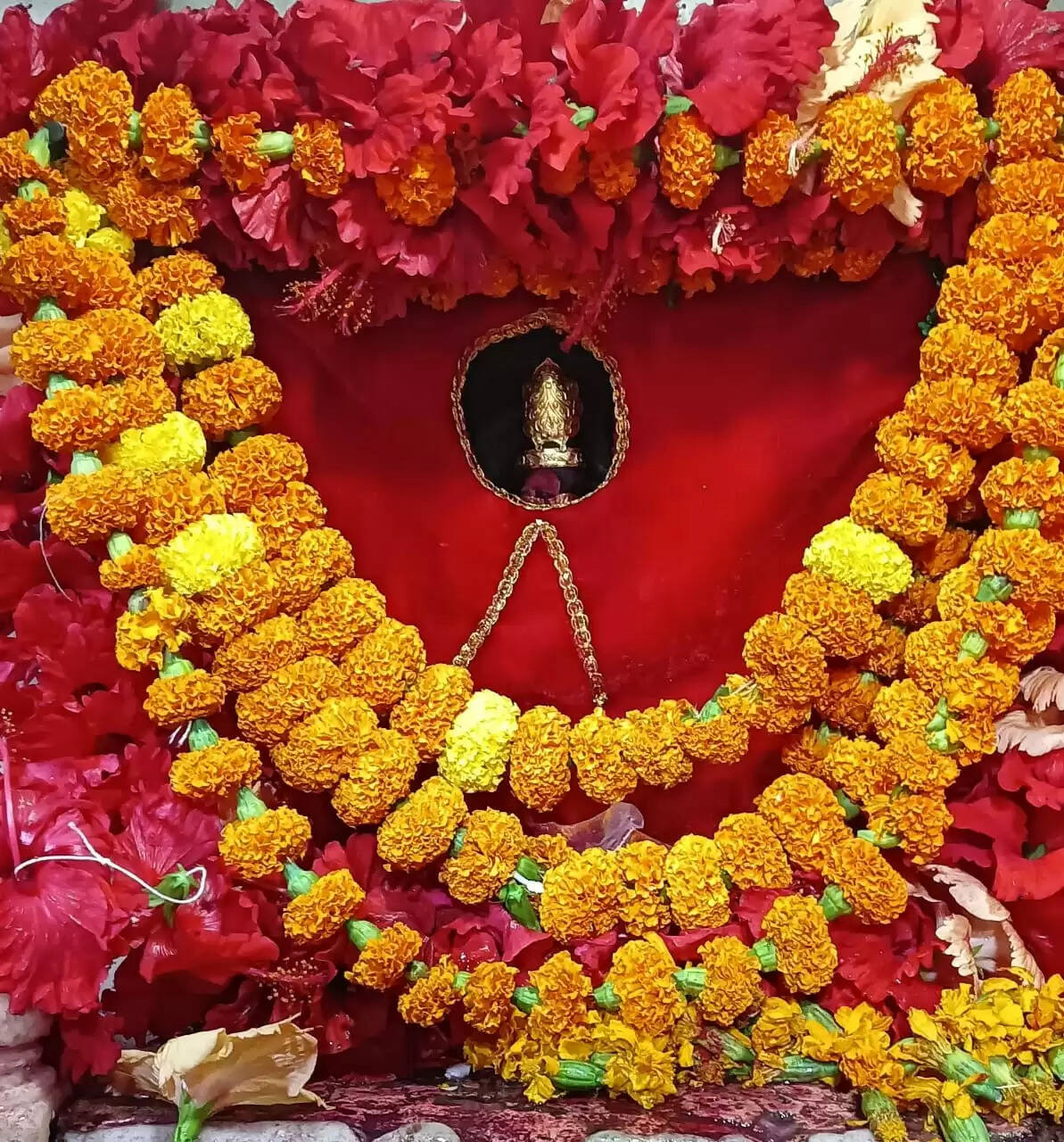 गड़बड़ा शीतला धाम में एकादशी पर उमड़ा आस्था का सैलाब, भक्तों को उठानी पड़ी परेशानी