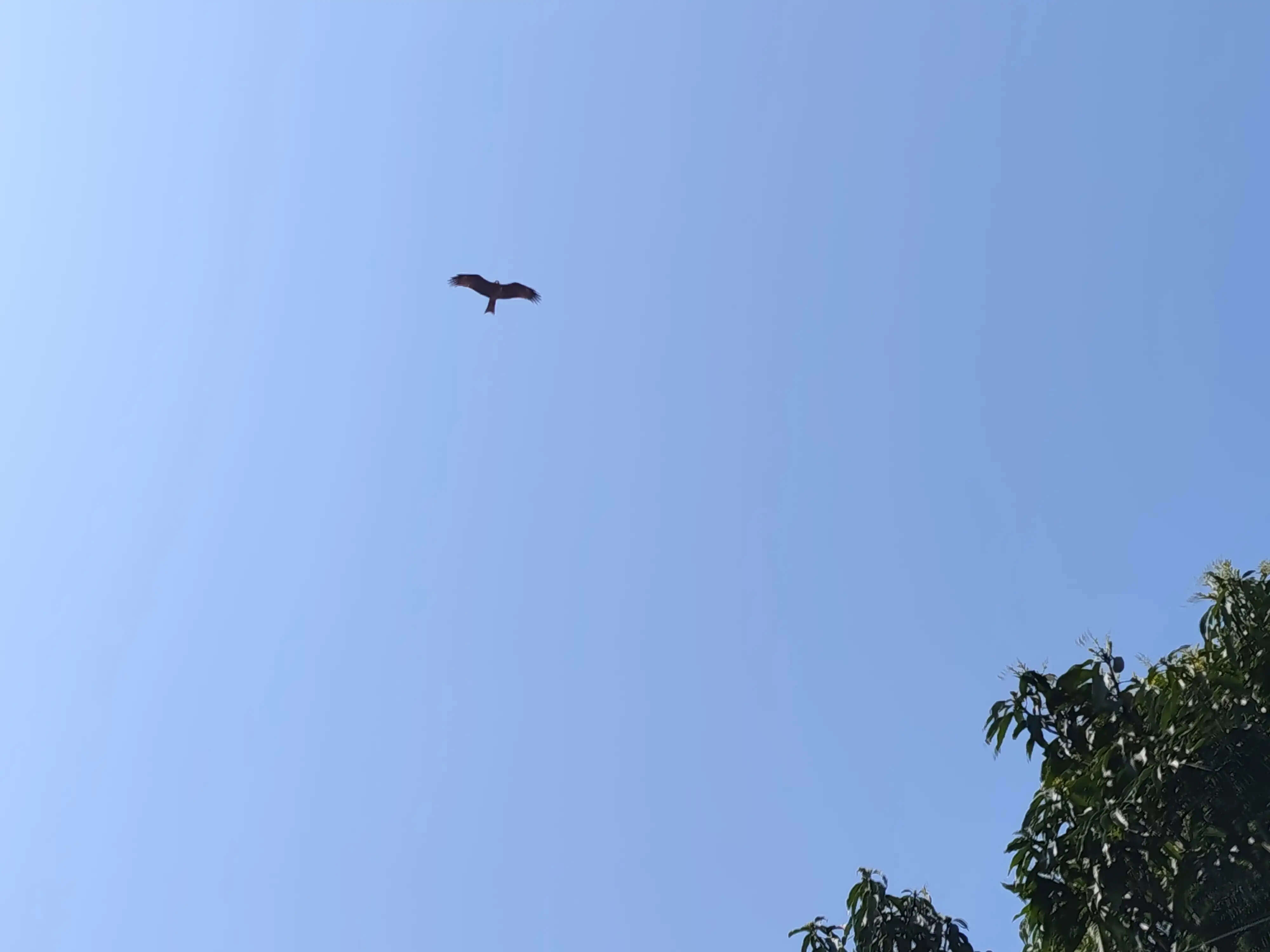 अगले दाे दिन में पर्वतीय क्षेत्रों में हल्की बारिश-बर्फबारी के आसार