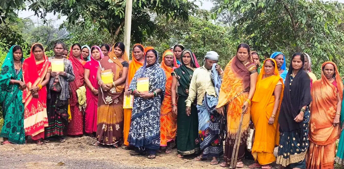 जांजगीर चांपा: जिले की समस्त ग्राम पंचायतों में आयोजित हुआ रोजगार दिवस एवं चावल उत्सव