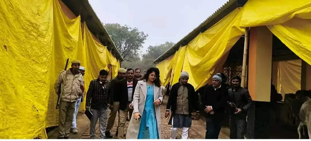 गौआश्रय स्थल का निरीक्षण कर डीएम ने धरातल पर परखीं व्यवस्थाएं