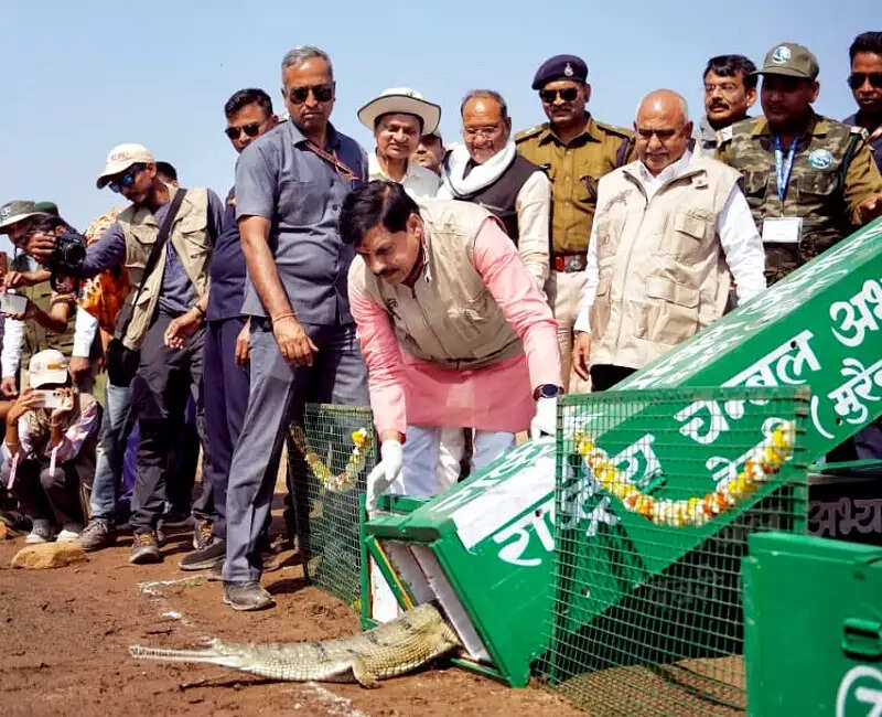 वन्य-जीव संरक्षण और संवर्धन हमारी प्राथमिकता : मुख्यमंत्री डॉ. यादव
