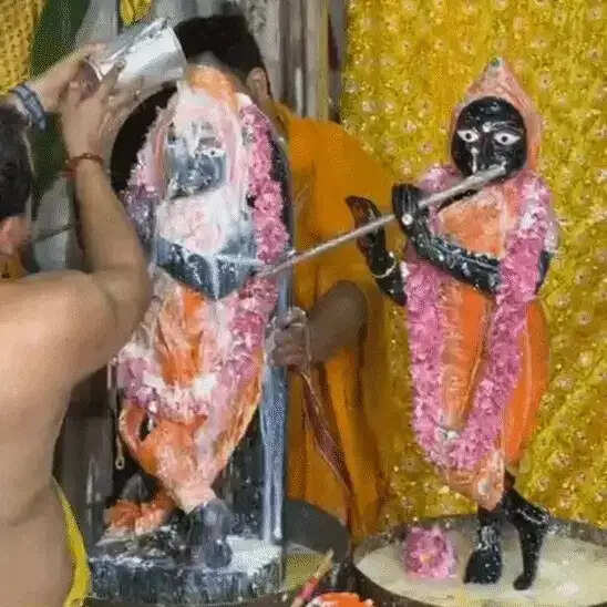 राधा दामोदर मंदिर में दिन में मना जन्मोत्सव