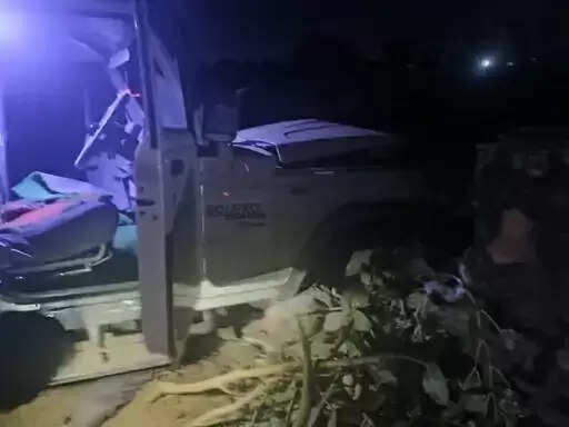 पंचर की दुकान पर खड़े तीन लाेगाें को कैंपर ने कुचला