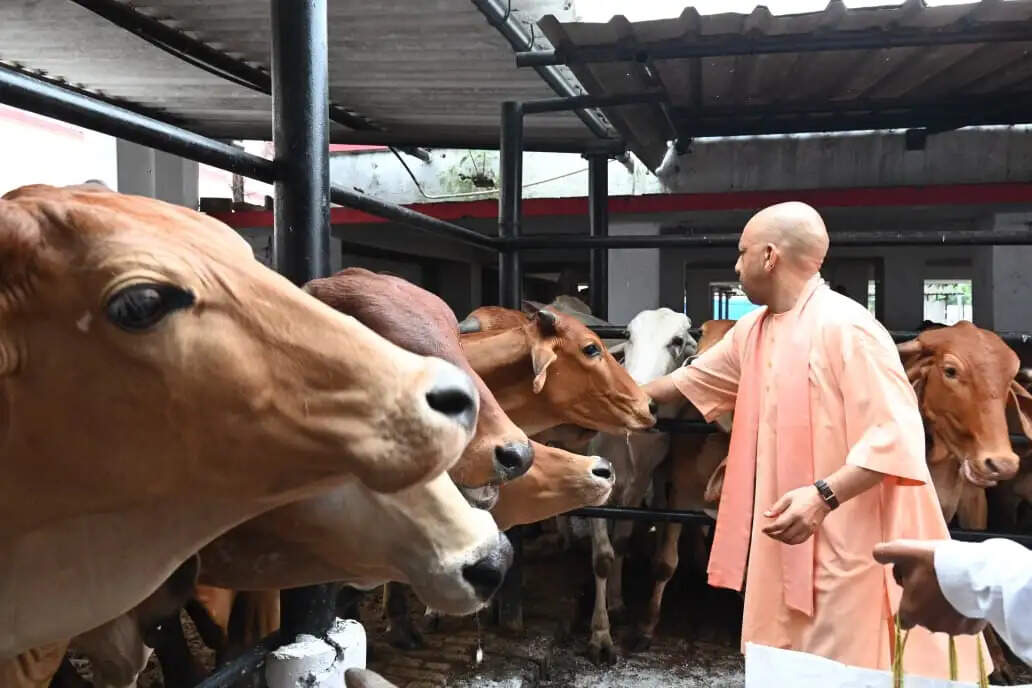 प्रतिकूल मौसम में भी मुख्यमंत्री योगी ने गाेरखपुर में किया जनता दर्शन