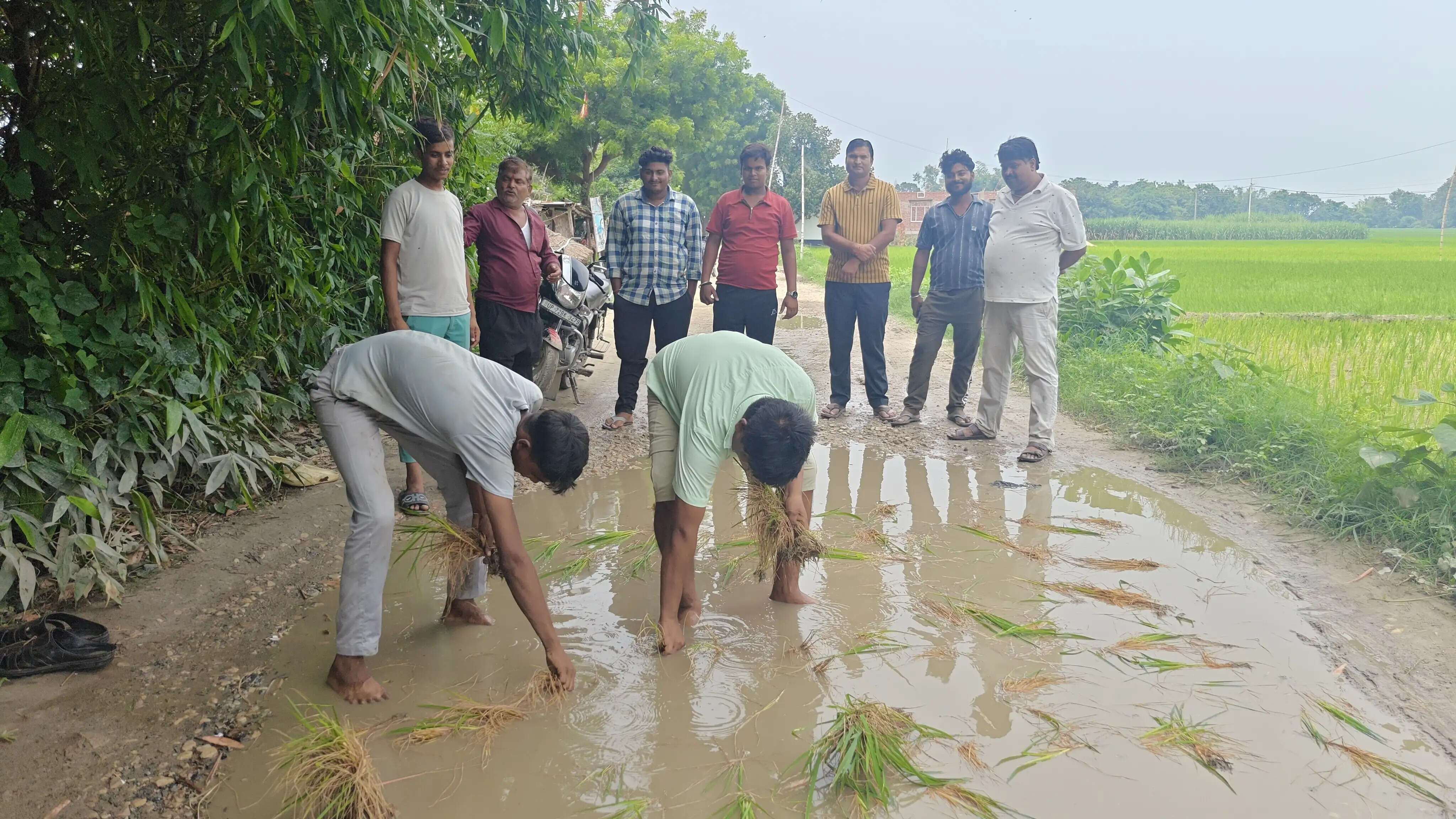 सड़क पर धान रोपकर ग्रामीणों का अनोखा प्रदर्शन, जर्जर सड़क के विरोध में फूटा आक्रोश