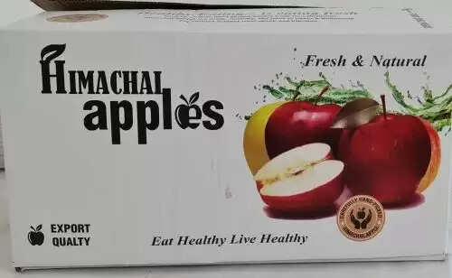 शिमला से 1 करोड़ 3 लाख सेब पेटियां देश की मंडियों में पहुंचीं