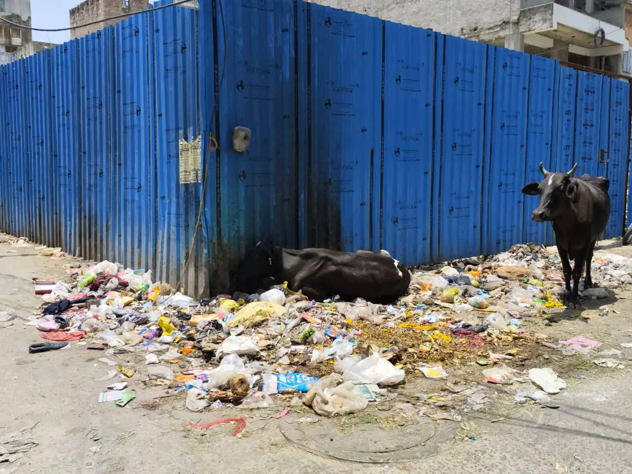 सफाई कर्मचारियों के कार्य बहिष्कार से जयपुर की सफाई व्यवस्था प्रभावित, शहर में बढ़ने लगे कचरे के ढेर