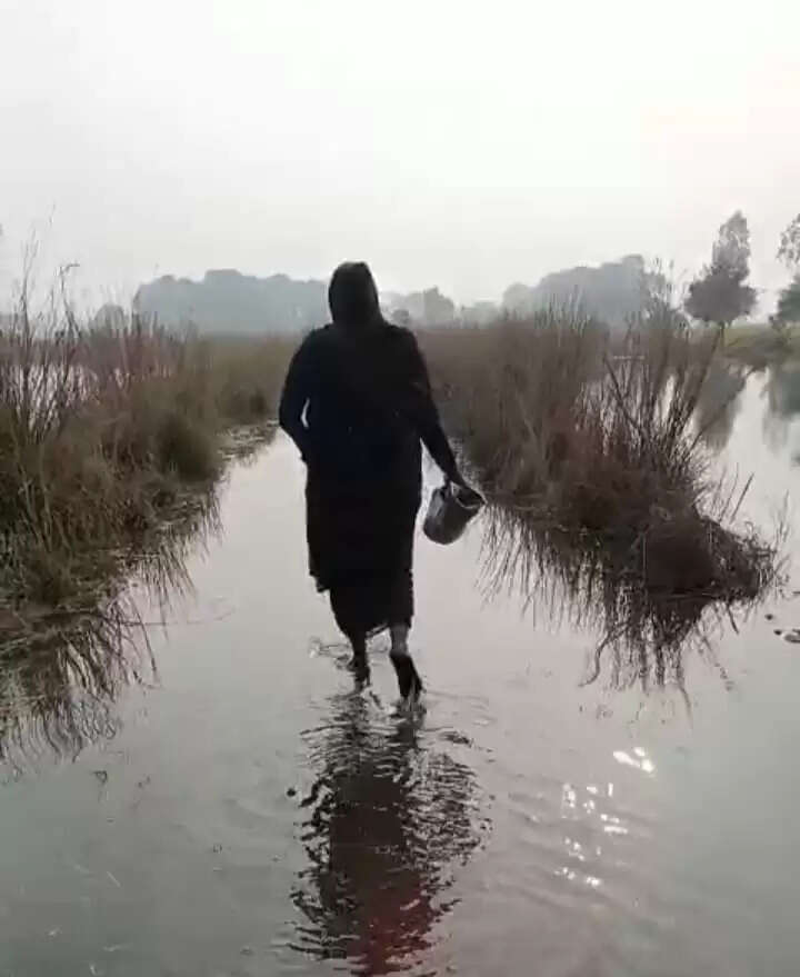 माइनर के पानी से नाले का ओवरफ्लो, अन्नदाता तबाह