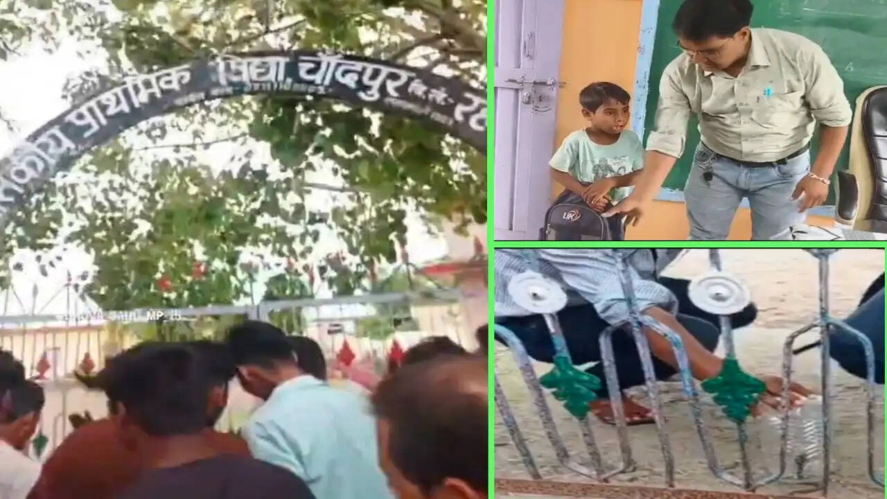 सागर के स्कूल में बैग से निकली नागिन, शिक्षक की सूझबूझ से टला बड़ा हादसा