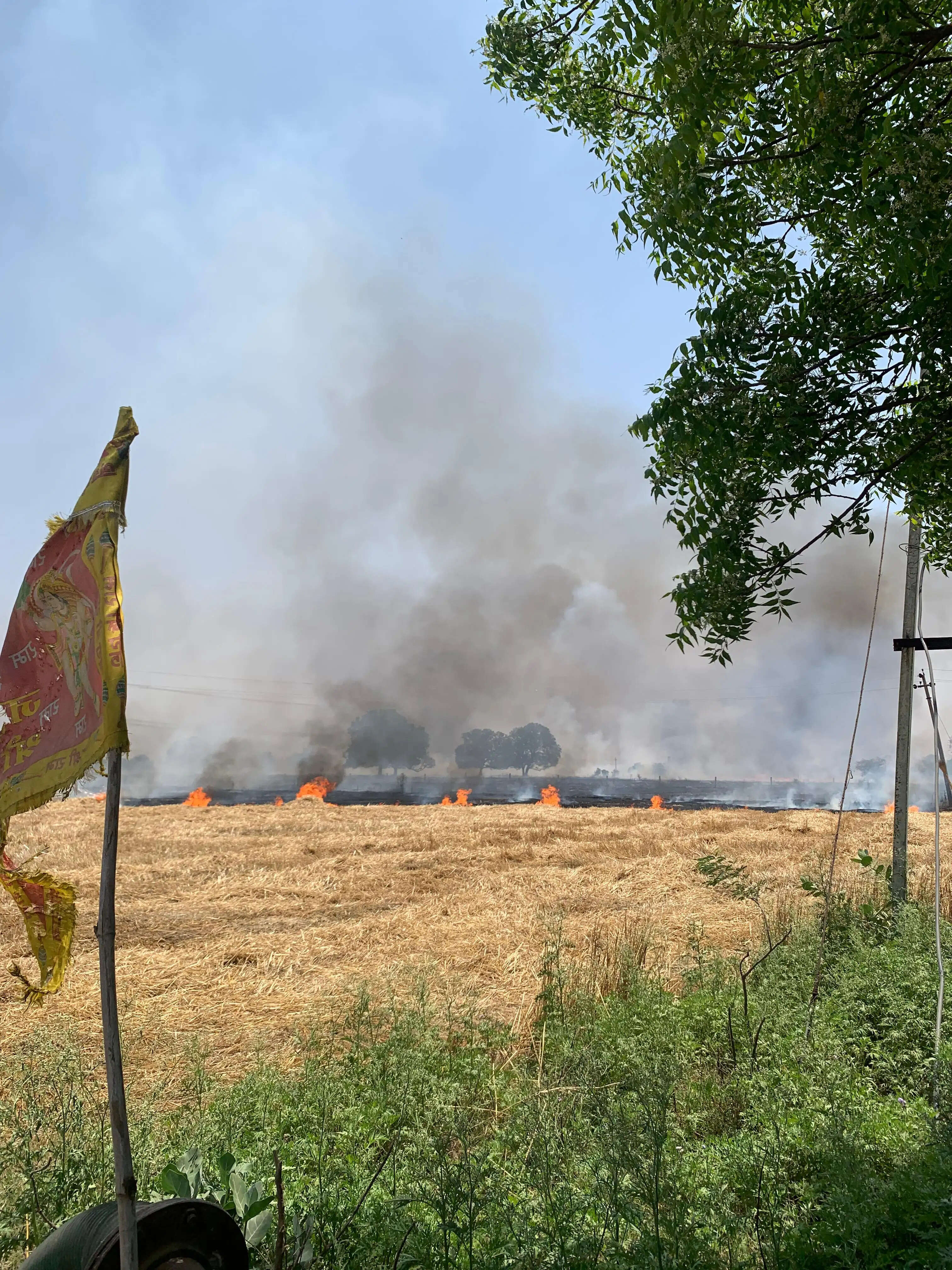 गेहूं की नरही में आग&nbsp;लगने&nbsp;से 25 बीघा फसल जलकर राख