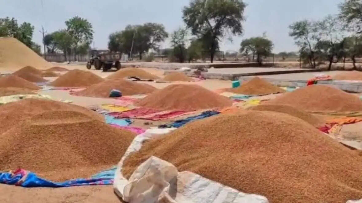 जिले में चना उपार्जन अंतिम चरण में, प्रदेश की 40 फीसदी से अधिक खरीदी धमतरी से