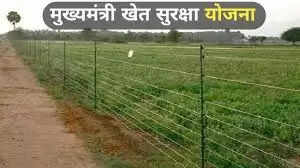 उप्र में किसानों के लिए सौगात बनेगी 'मुख्यमंत्री खेत सुरक्षा योजना'