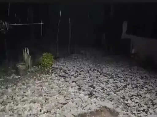 अंबिकापुर : मैनपाट में 20 मिनट की ओलावृष्टि से सफेद चादर, फसलें चौपट; तीन दिन तक बारिश-ओले का अलर्ट