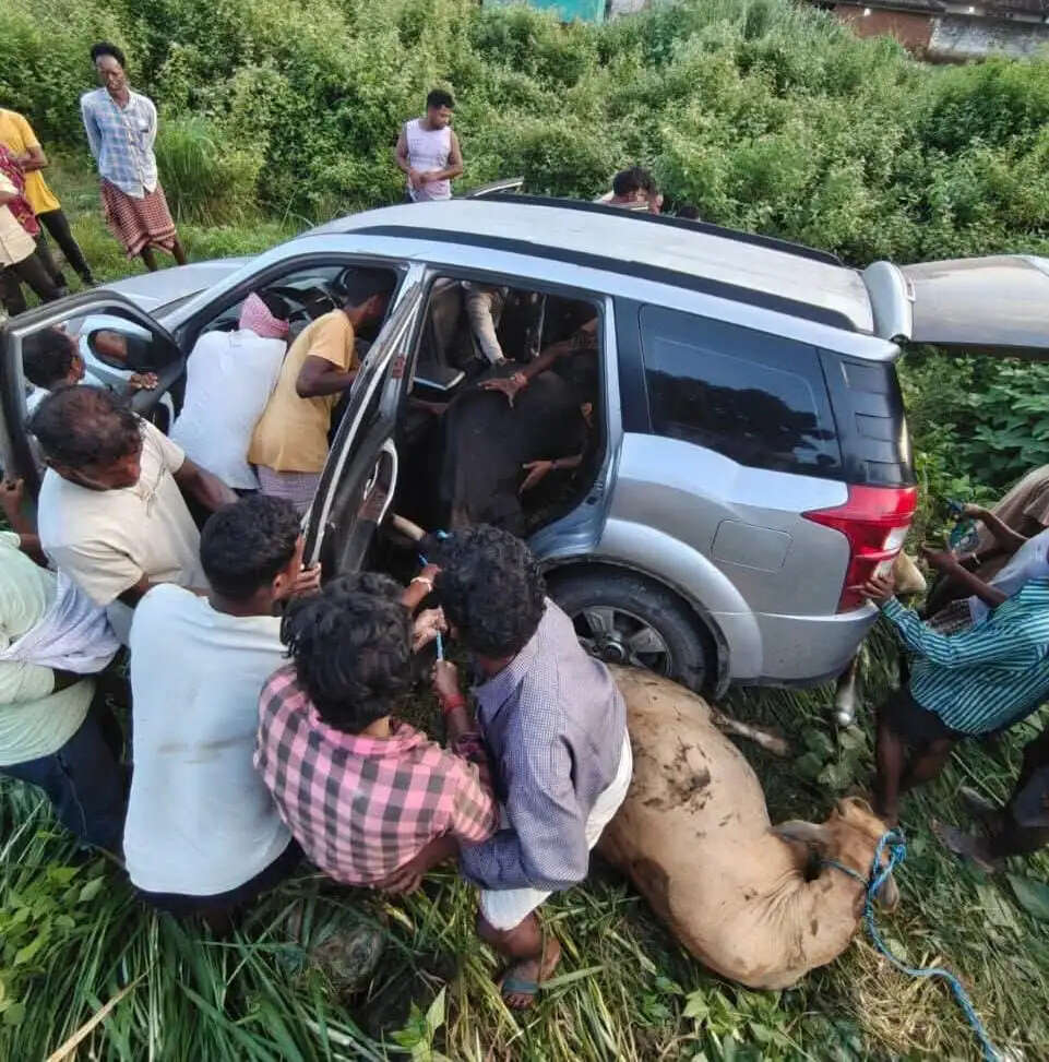 सड़क हादसे ने खोला गो तस्करी के गोरखधंधे का राज