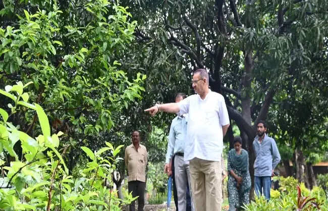 मंत्री गणेश जोशी ने सितारगंज राजकीय उद्यान में औचक किया निरीक्षण, गुणवत्ता सुधार के दिए निर्देश