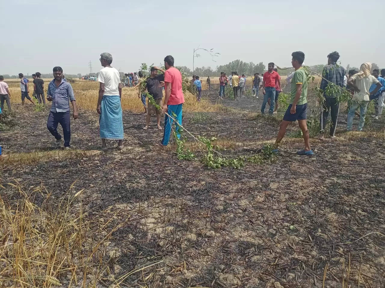 देवरिया : तैयार फसलों को बिजली विभाग की लापरवाही से राख होते देख रहे हैं अन्नदाता