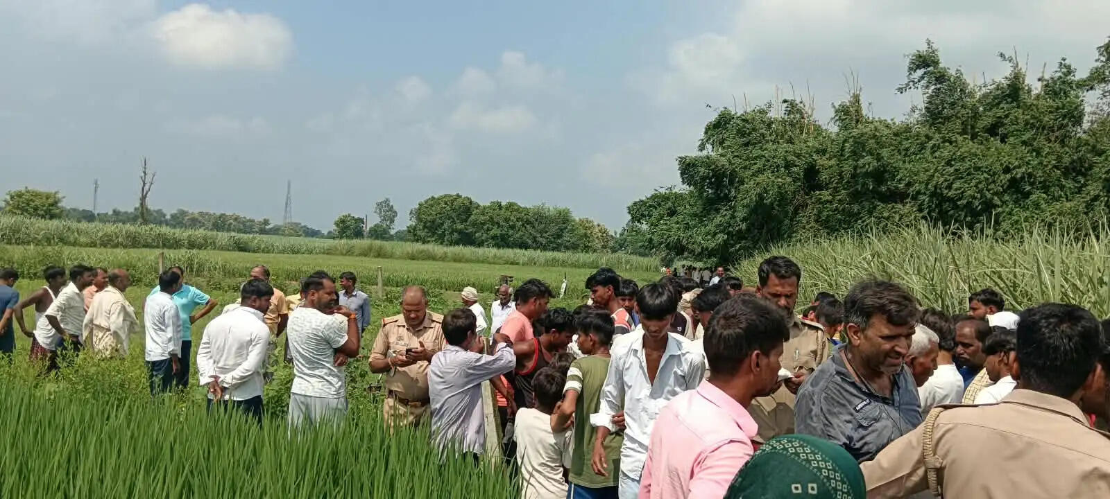 पूर्व प्रधान की नीलगाय के हमले से मौत