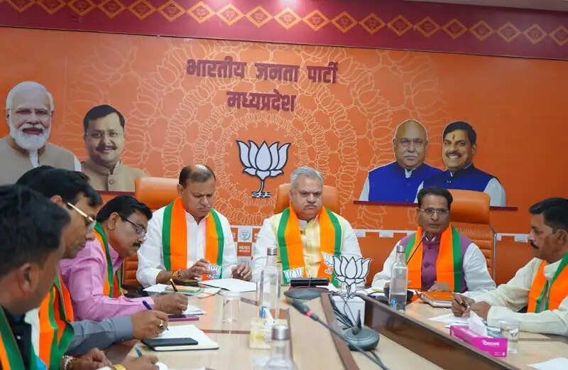 भाजपा संगठन को और मजबूत करने समाज में सक्रिय भूमिका निभाएं मोर्चा पदाधिकारीः हेमंत खण्डेलवाल