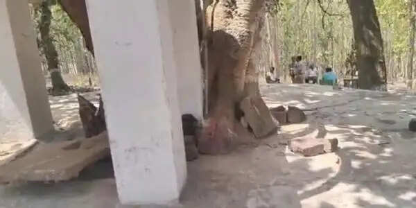 जशपुर : मंदिर में तोड़फोड़ व मूर्तियां खंडित, जल्द गिफ्तारी की मांग