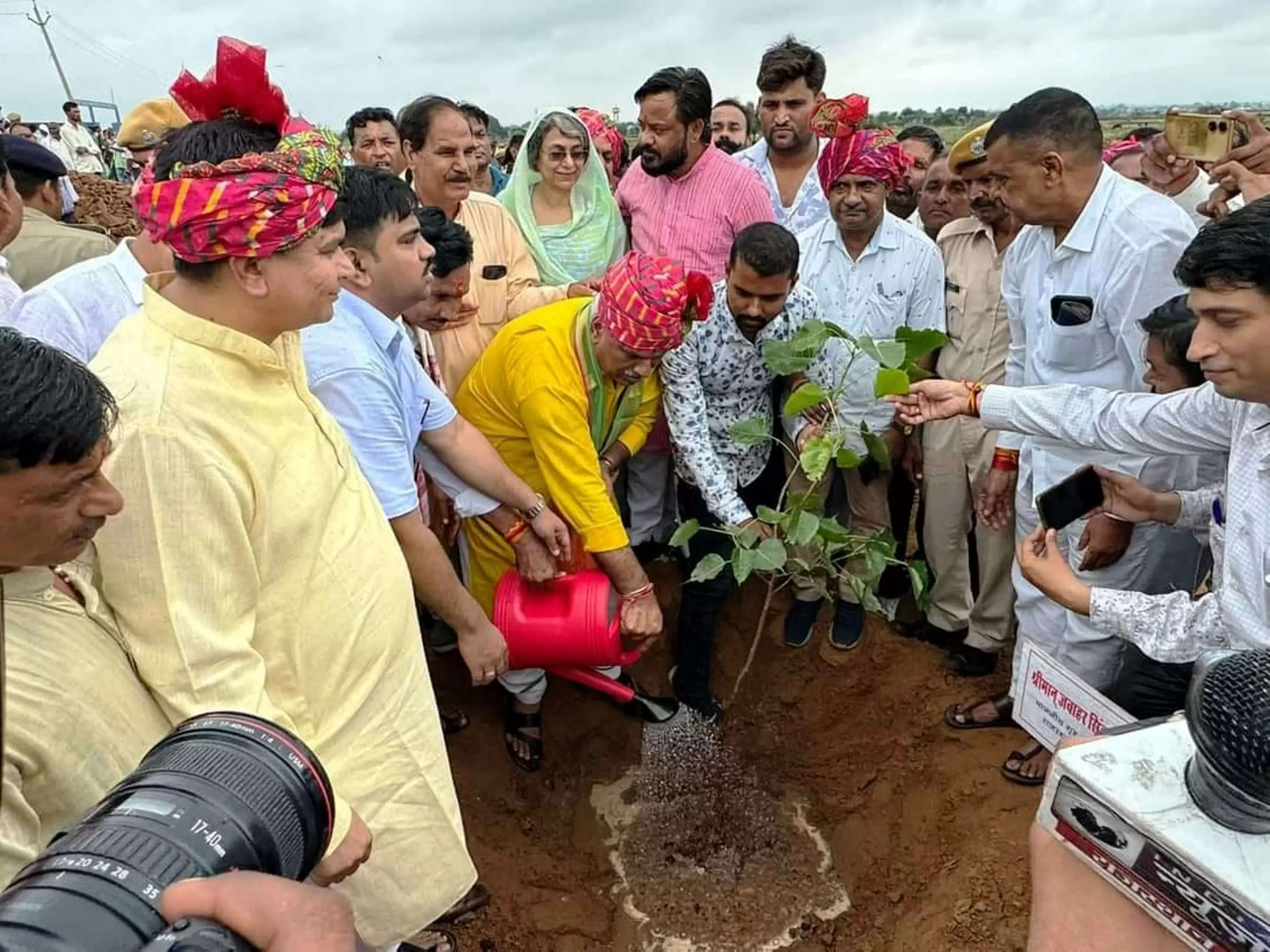 हरियाली तीज पर ढाई लाख से अधिक पौधे रोपे, हरियालो धौलपुर का लिया संकल्प