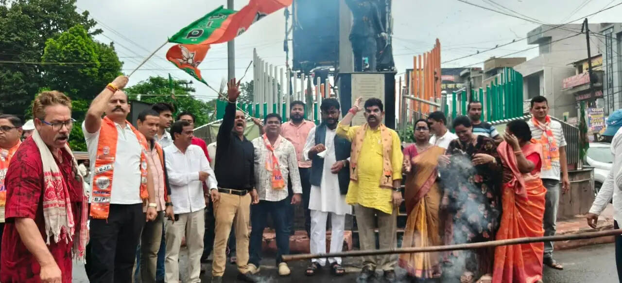 भाजपा ने फूंका राहुल गांधी का पुतला